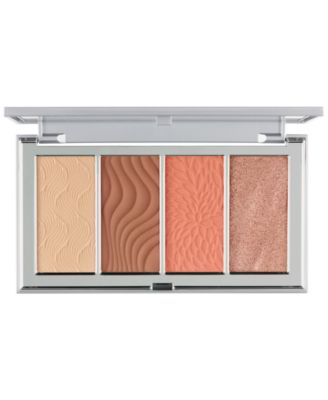 PUR Minerals PUR 4-In-1 Skin Perfecting Pow Fair-Light